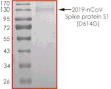 Product Element Image
